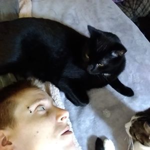 Meet your Posher, Cassandra